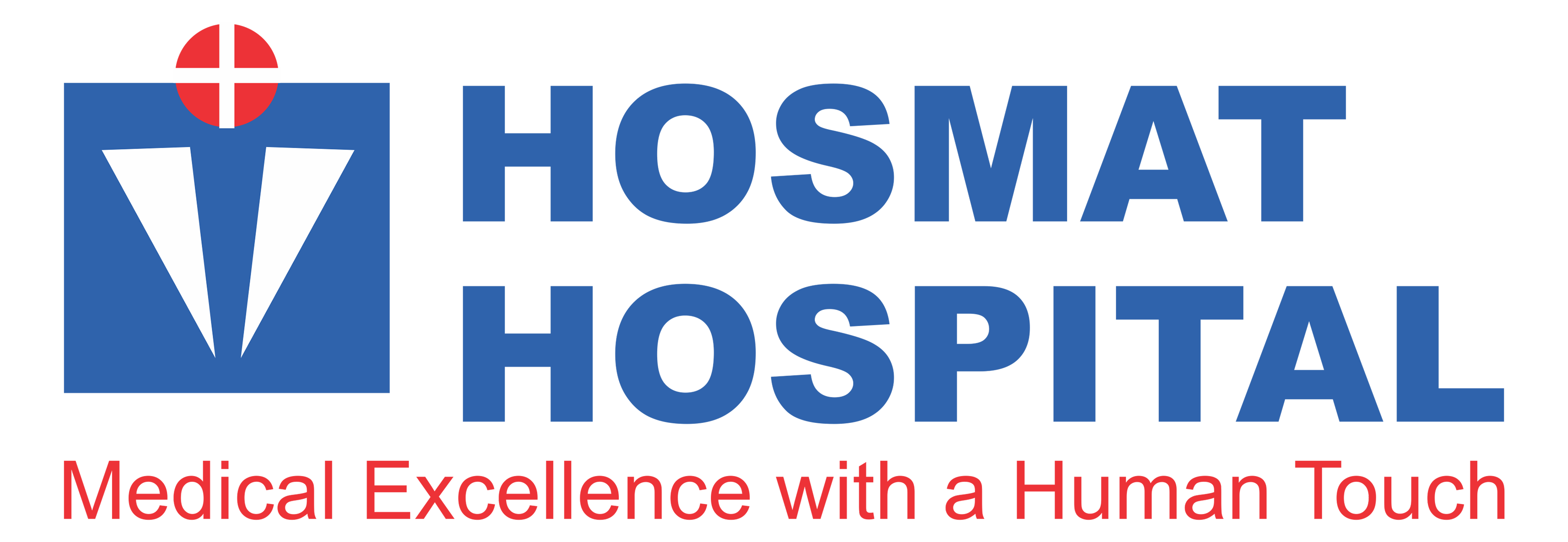 Hospital icon